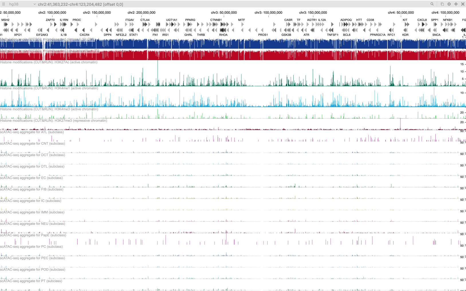 Screenshot of chromatin accessibility data shown in genome browser tracks