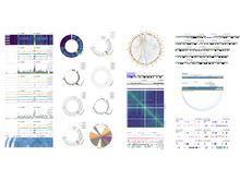 Diverse Genomics Visualizations Using Gosling.js. Screenshot of a large number of genomics visualizations displayed using the Gosling genomics visualization grammar.