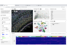 Visual Integration Tool for Exploration of Spatial Single-Cell Experiments. Screenshot of the interactive visualization tool, Vitessce, featuring multiple color-coordinated 2D views of cellular data and interactive controls.