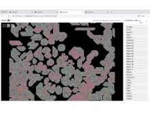 Visual Integration Tool for Exploration of Spatial Single-Cell Experiments