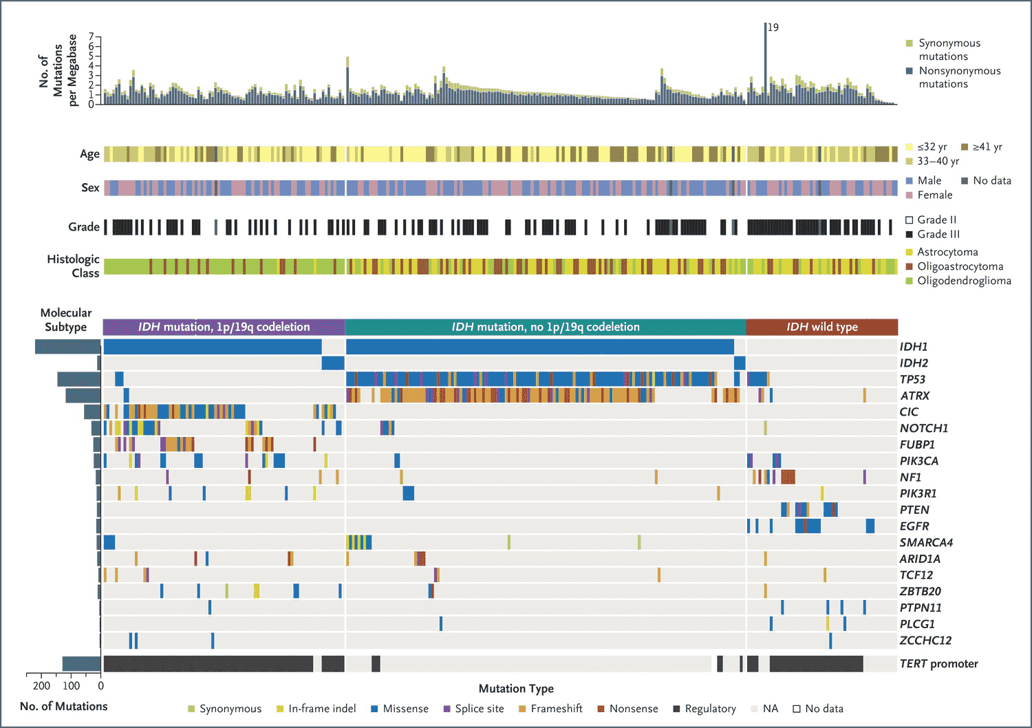 A genomic data visualization that provides a comprehensive overview of the genomic landscape of glioma tumors involving mutation counts, patient characteristics like age and sex, as well as the molecular subtypes and mutation types observed across the samples.