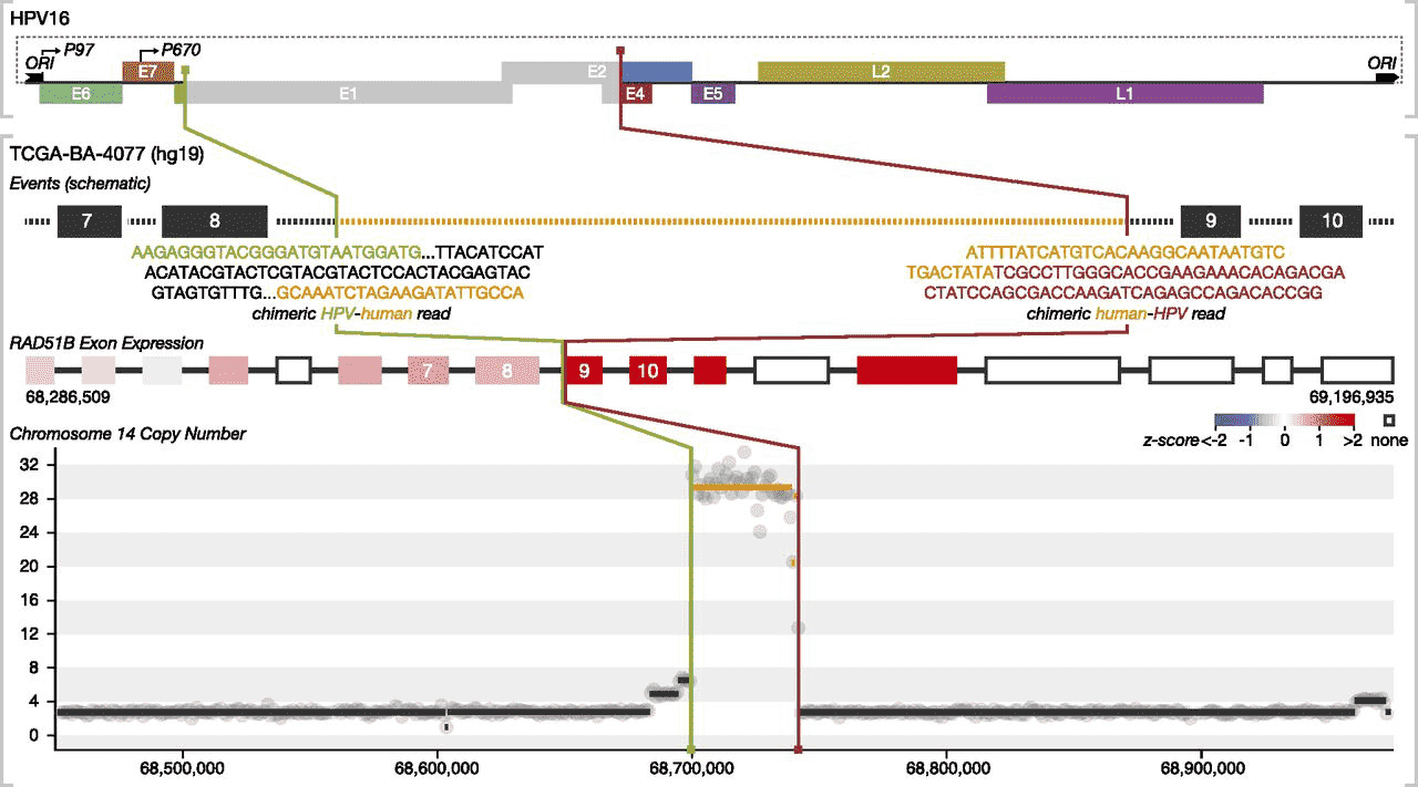 A figure with four visualizations showing data in four genomic loci.