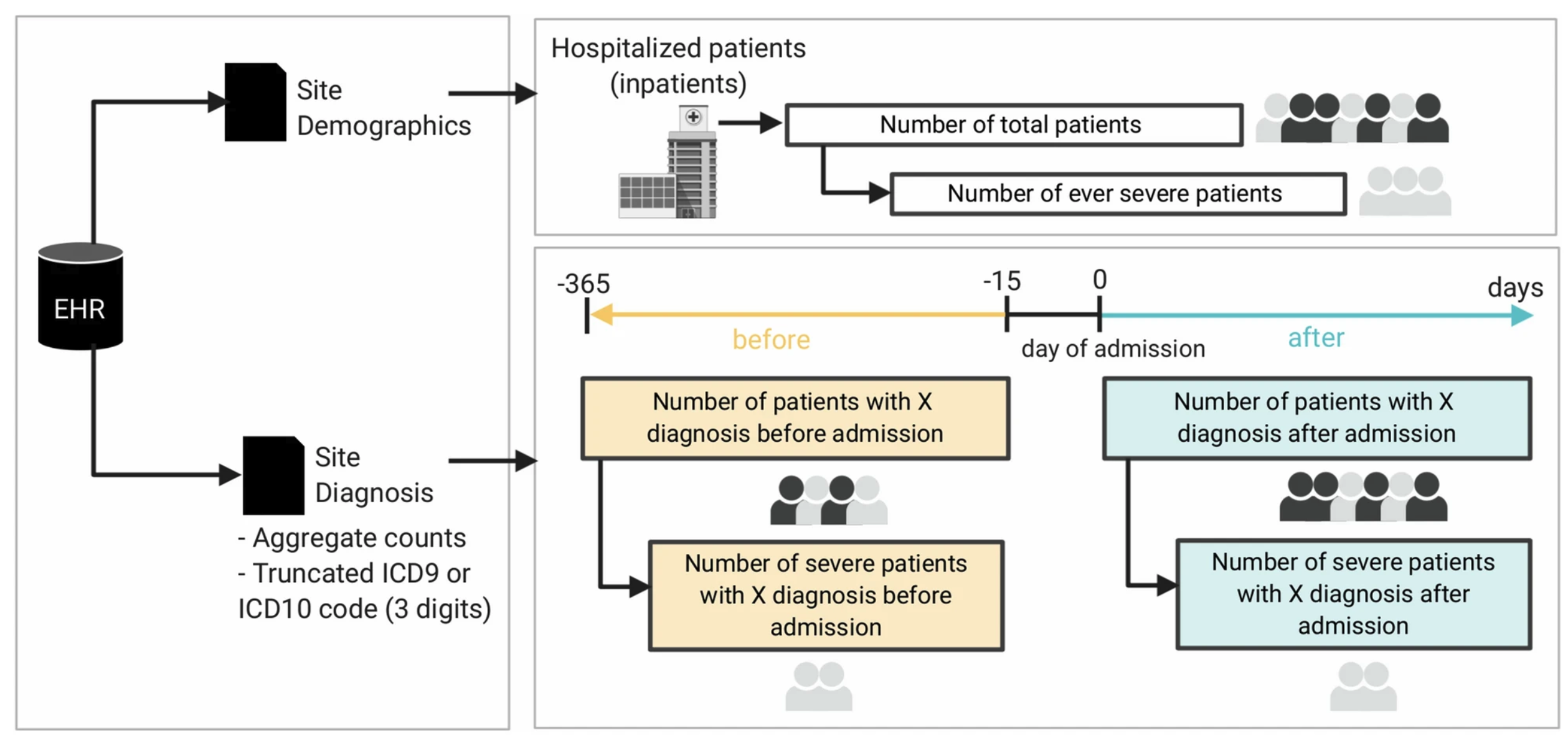 Schematic diagram of the cohort and data generation workflow for each healthcare system