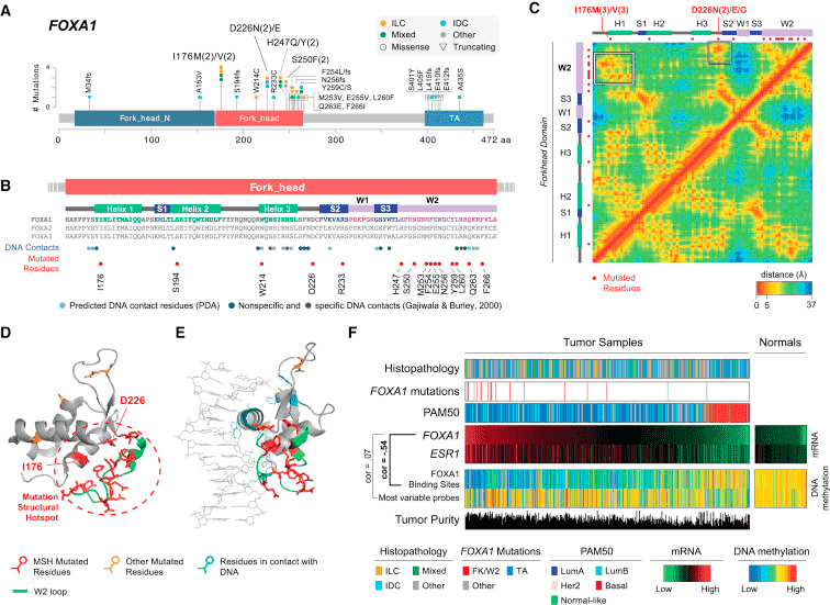 A figure with six panels containing lollipop plots, 3D visualizations, and heatmaps.