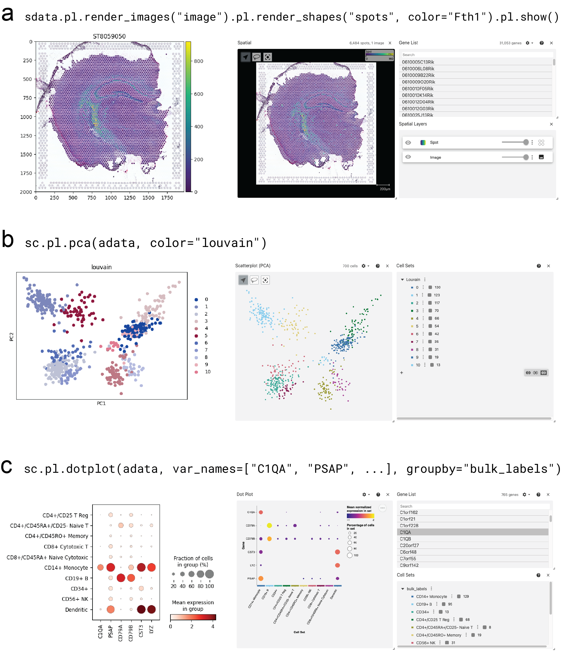 Three example figures generated by the SpatialData-Plot and Scanpy plotting APIs. On the left, the static figures are shown. On the right, screenshots of the corresponding interactive visualizations are shown.