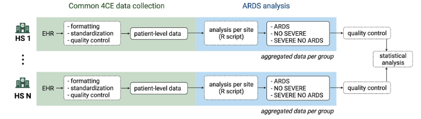 Study workflow. From EHR extraction to ARDS analysis on aggregated data