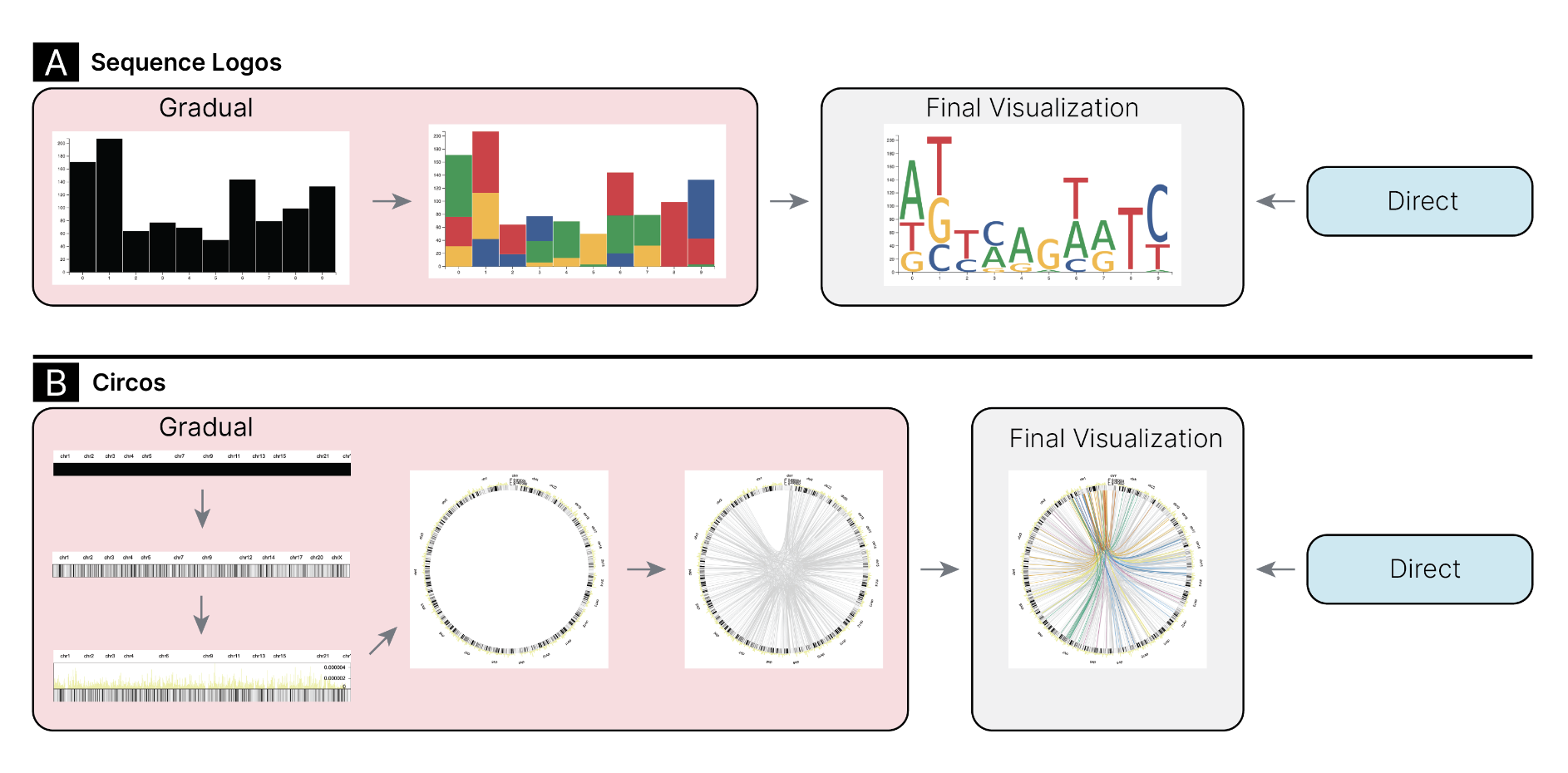 Compares direct and gradual approaches for introducing sequence logos and Circos plots. For sequence logos, the gradual approach shows progression from black bar charts to stacked colored bar charts to the final letter-based logo. The Circos plot gradual approach starts with a linear representation, evolves to a circular layout, and finally adds connecting lines. Both visualizations also show a Direct option leading straight to the final visualization.