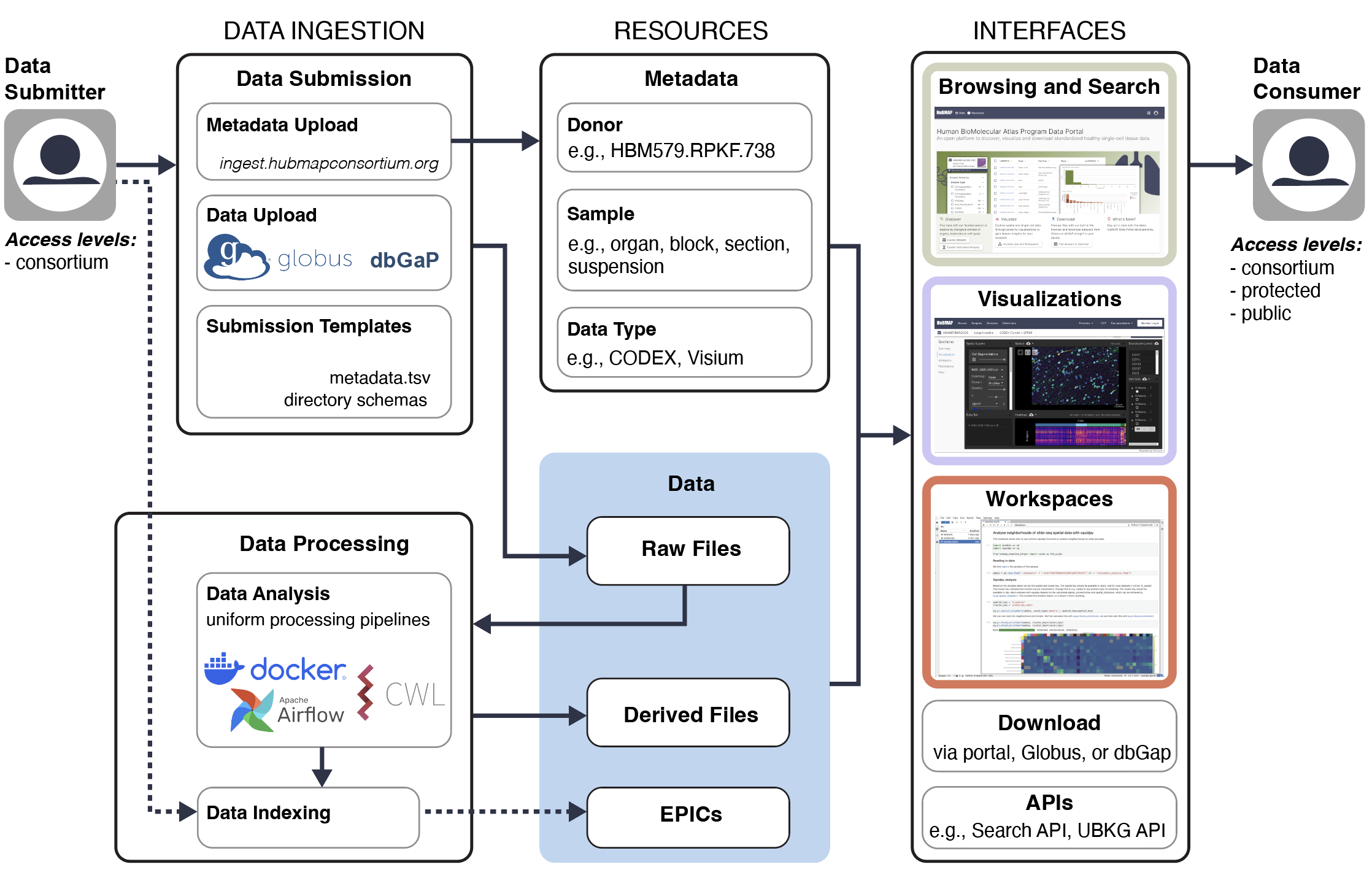 Schematic of data flow, with data submitter on left and data consumer on right. In between, arrows flow from data ingestion (data submission and data processing) to resources (metadata and data) to interfaces (browsing and search, visualizations, workspaces, download, and APIs). Data, Browsing and Search, Visualizations, and Workspaces are highlighted with color.