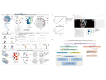 Publication page for "SpatialQuery: scalable discovery and molecular characterization of multicellular motifs from spatial omics data"