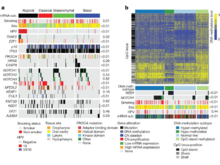 Publication page for "Comprehensive Genomic Characterization of Head and Neck Squamous Cell Carcinomas"