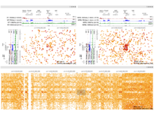 Customizeable view linking lets users dynamically create detail-overview arrangements for comparing datasets at varying scales.