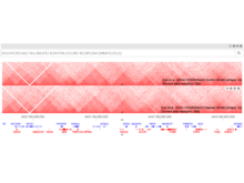 Visualizations in HiGlass are highly customizeable with a variety of track types available for displaying genomic contact and other data.