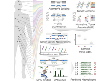 Publication page for "Comprehensive Analysis of Alternative Splicing Across Tumors from 8,705 Patients"