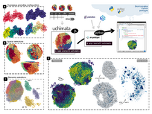 Publication page for "Uchimata: a toolkit for visualization of 3D genome structures on the web and in computational notebooks"